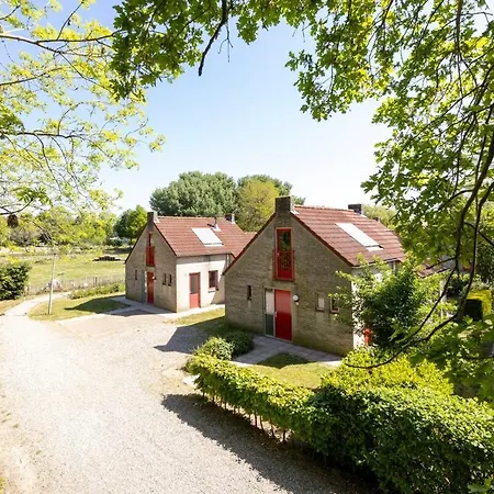 With Sunny Garden Near