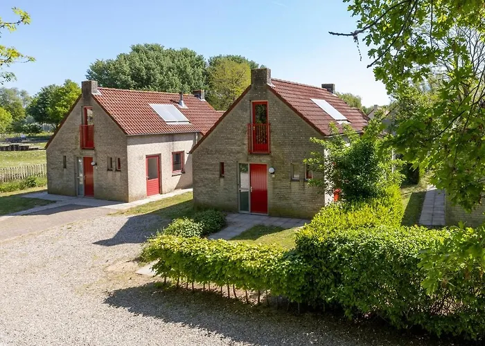 With Sunny Garden Near *