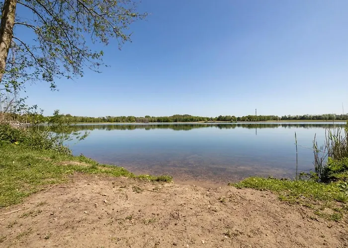 With Sunny Garden Near Ewijk