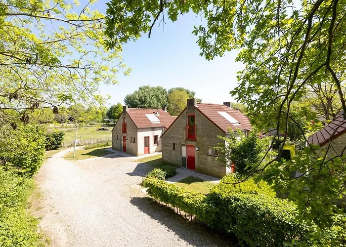 With Sunny Garden Near